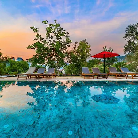 Elizya Boutique Hotel *