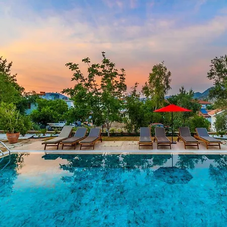 Elizya Boutique ホテル