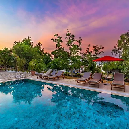 Elizya Boutique Hotel *