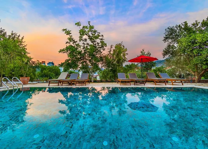 Elizya Boutique Hotell *